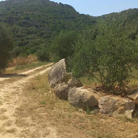 بيت للعطل Su Frassu Stazzo Gallurese مونتي