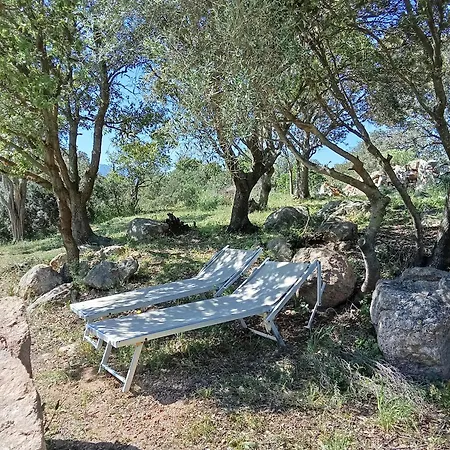 Su Frassu Casa Tra Relax E Natura Vicino A Olbia E Costa Smeralda Дом отдыха *