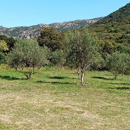 Su Frassu Stazzo Gallurese بيت للعطل *