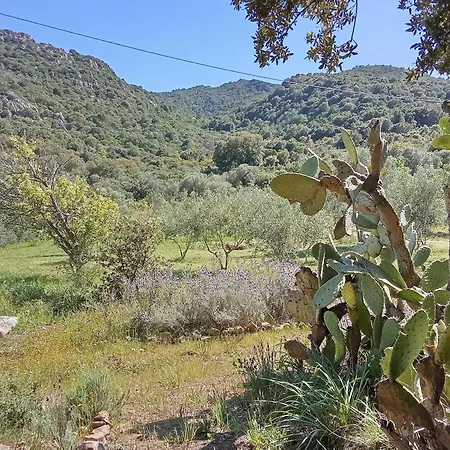 Su Frassu Stazzo Gallurese مونتي