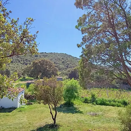 Su Frassu Stazzo Gallurese