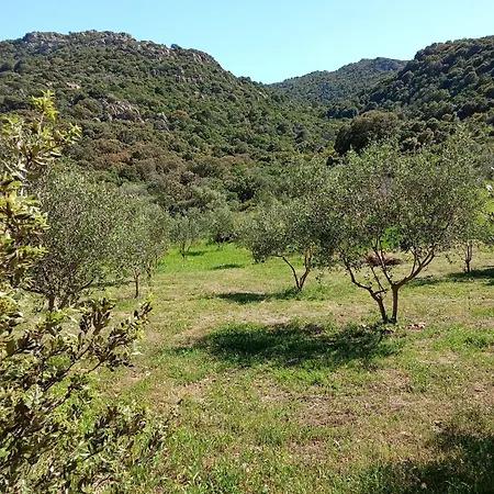 Su Frassu Stazzo Gallurese