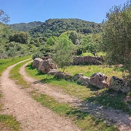 Su Frassu Stazzo Gallurese بيت للعطل مونتي