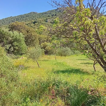 بيت للعطل Su Frassu Stazzo Gallurese *