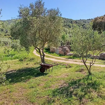 Su Frassu Stazzo Gallurese *