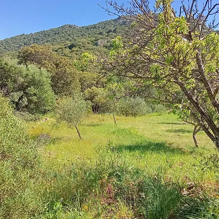 Su Frassu Stazzo Gallurese