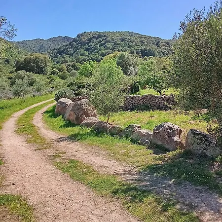 Su Frassu Stazzo Gallurese