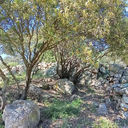 بيت للعطل Su Frassu Stazzo Gallurese *