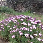 Su Frassu Casa Tra Relax E Natura Vicino A Olbia E Costa Smeralda Dom wakacyjny *