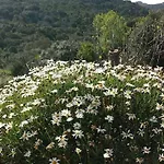 Su Frassu Casa Tra Relax E Natura Vicino A Olbia E Costa Smeralda Σπίτι διακοπών