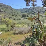 Su Frassu Casa Tra Relax E Natura Vicino A Olbia E Costa Smeralda Monti