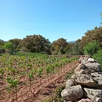 Dom wakacyjny Su Frassu Casa Tra Relax E Natura Vicino A Olbia E Costa Smeralda