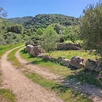 Su Frassu Casa Tra Relax E Natura Vicino A Olbia E Costa Smeralda Dom wakacyjny Monti