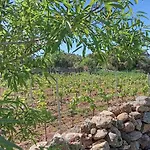 Dom wakacyjny Su Frassu Casa Tra Relax E Natura Vicino A Olbia E Costa Smeralda Monti