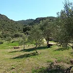 Su Frassu Casa Tra Relax E Natura Vicino A Olbia E Costa Smeralda Dom wakacyjny *