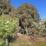 Dom wakacyjny Su Frassu Casa Tra Relax E Natura Vicino A Olbia E Costa Smeralda