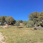 Nyaraló Su Frassu Casa Tra Relax E Natura Vicino A Olbia E Costa Smeralda