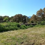 Su Frassu Casa Tra Relax E Natura Vicino A Olbia E Costa Smeralda * Monti