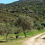 Su Frassu Casa Tra Relax E Natura Vicino A Olbia E Costa Smeralda Σπίτι διακοπών *