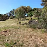 Su Frassu Casa Tra Relax E Natura Vicino A Olbia E Costa Smeralda * Monti