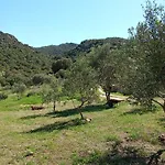 Su Frassu Casa Tra Relax E Natura Vicino A Olbia E Costa Smeralda