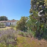 Feriehus Su Frassu Casa Tra Relax E Natura Vicino A Olbia E Costa Smeralda