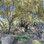 Dom wakacyjny Su Frassu Casa Tra Relax E Natura Vicino A Olbia E Costa Smeralda *