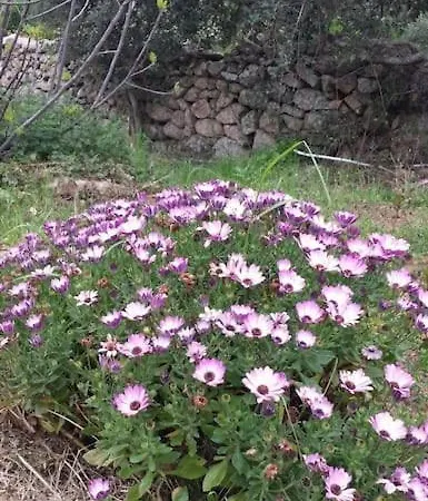 Su Frassu Semesterbostad *