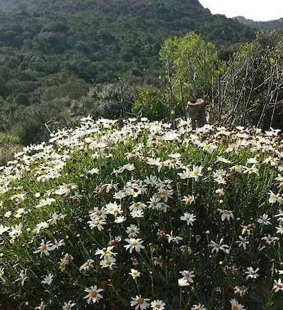 Su Frassu Semesterbostad