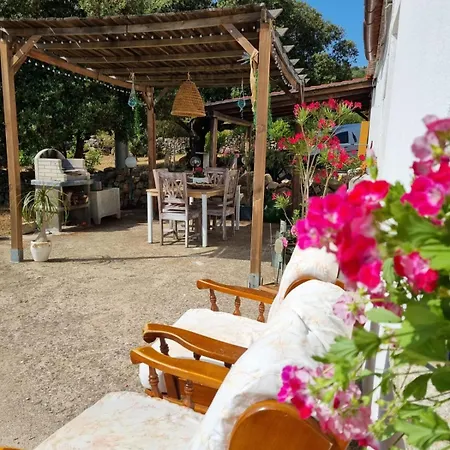 Su Frassu Stazzo Gallurese Monti