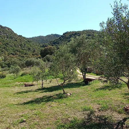 Su Frassu Stazzo Gallurese Casa vacanze *