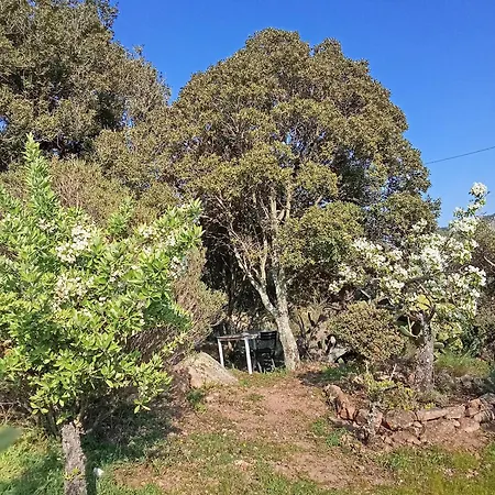 Prázdninový dům Su Frassu Stazzo Gallurese