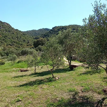 Su Frassu Stazzo Gallurese